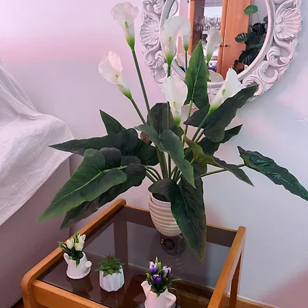 La Casita De La Piscina アデヘ